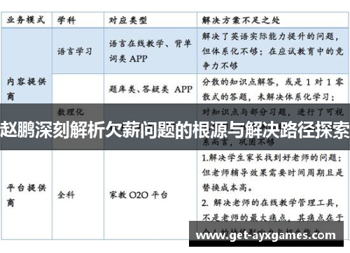 赵鹏深刻解析欠薪问题的根源与解决路径探索